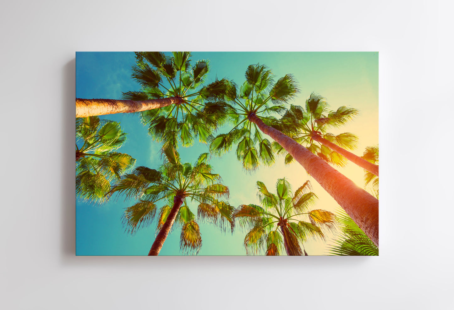 Palm Sunset