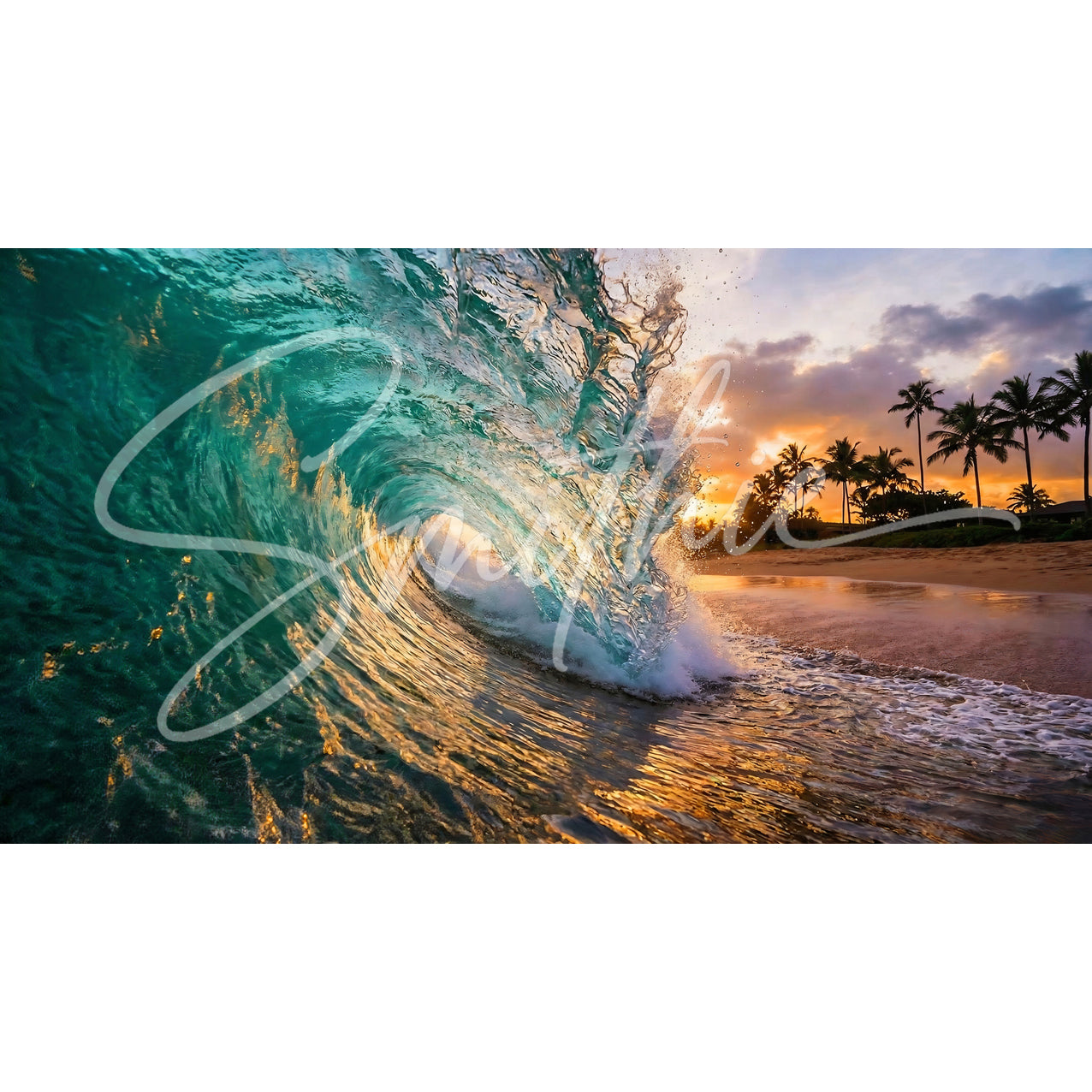 Shore Break Serenity